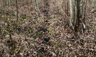 W McMann & Porcupine Hill Road lot 3, Addison, ME 04606