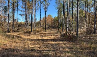 Hwy 9, Bruce, MS 38915