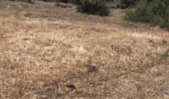 649 W Eldorita Ave, Ash Fork, AZ 86320