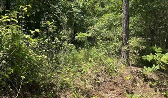 385 CARR Rd, Alpine, AL 35014