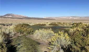 SAND SPRINGS Road, Dyer, NV 89010