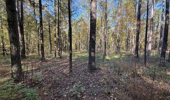 Perry Chapel Road, Ashland, MS 38603