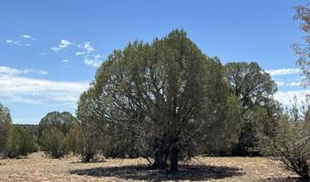 21 Off Of Cooks Trl, Ash Fork, AZ 86320
