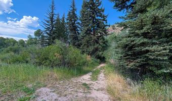 20 42 ACRES SWIFT CREEK Dr, Afton, WY 83110