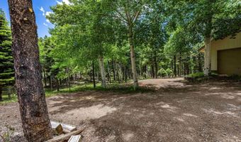 59 Palo Flechado Ridge Rd, Angel Fire, NM 87710