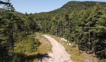 37 Alpine Dr, Porter, ME 04068
