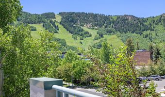 120 S Spring St 1, Aspen, CO 81611