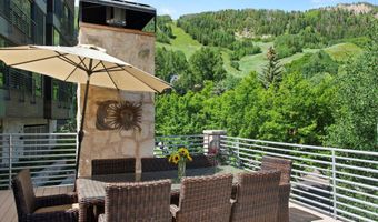 714 S Galena St B, Aspen, CO 81611