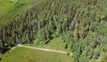 Tbd 5 Ac Last Resort Lane, Ashton, ID 83420