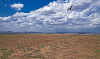 Tr 47 Via Hatch Canyon, Alpine, TX 79830