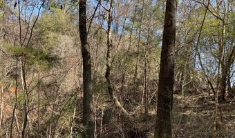 26489 Point A Isle Rd, Andalusia, AL 36421