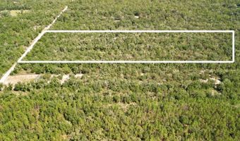 55 Th St, Bell, FL 32619