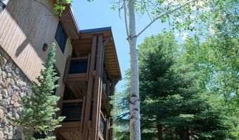 131 E Durant Ave 410, Aspen, CO 81611