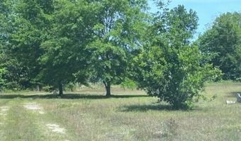 187 Rambo Rd, Allendale, SC 29810