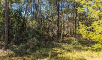 18124 SW 75TH Ave, Archer, FL 32618