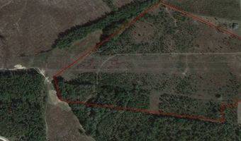 1300 Red Oak Rd, Barnwell, SC 29812