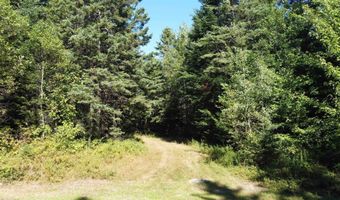 810 Rosebrook Hill Rd 4B, Brighton, VT 05846