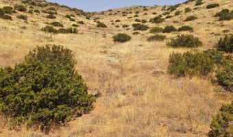 Valleysage Road, Agua Dulce, CA 91390