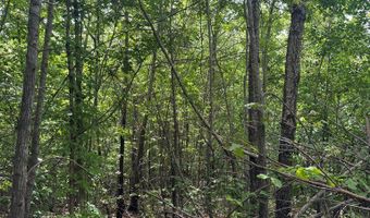 759 HWY 9, Banner, MS 38913