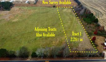 Tract 1 County Road 89, Anderson, AL 35610