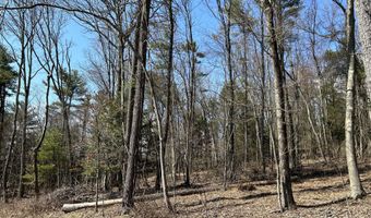 TALLMAN HOLLOW ROAD LOT #2, Montoursville, PA 17754