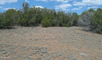 Show Low Pines Lot 189, Concho, AZ 85924