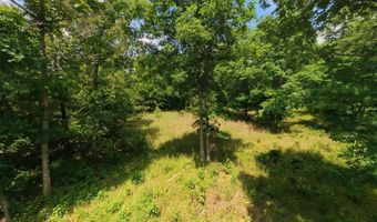 County Road 200, Alton, MO 65606