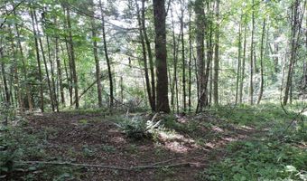 674 Johnson's River Bend Ln, Bakersville, NC 28705