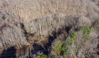 Lot 38 Lanis Road, Baxter, TN 38544