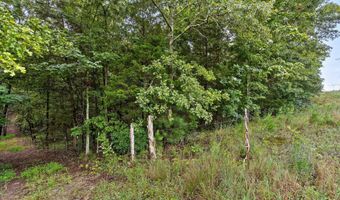 12712 Cranfield Rd, Birchwood, TN 37308
