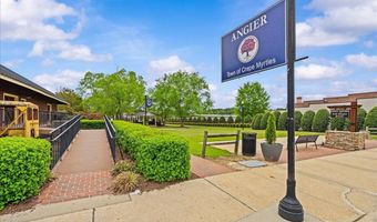 798 Old Station Pointe, Angier, NC 27501