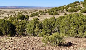 Tbd Co Rd 5062 Lot 1 3.53 Acres, Concho, AZ 85924