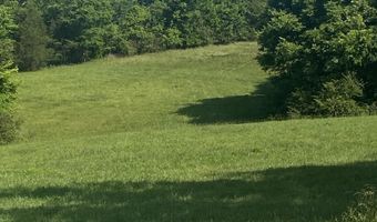 19 27 Acres County Road 656, Anderson, AL 35610