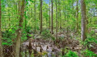 7095 Parkers Ferry Rd, Adams Run, SC 29426