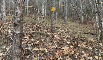 Hwy 105, Baldwin, GA 30511