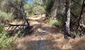 41902 Woodward Way, Ahwahnee, CA 93601