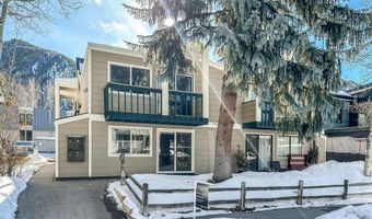 915 E HOPKINS Ave 4, Aspen, CO 81611