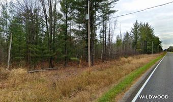 VL Wildwood Road, Alger, MI 48610