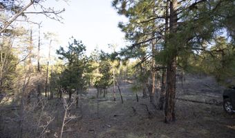 11 Co Rd 2074 2074, Alpine, AZ 85920