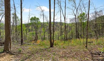 61 AC Hidden Cove Ln, Allons, TN 38541