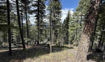 Valley Rd lot 123, Angel Fire, NM 87710