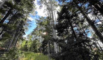 2 Back Basin Rd, Angel Fire, NM 87710