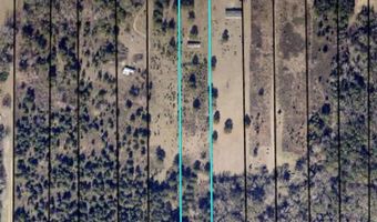 301 Story Rd, Arabi, GA 31712