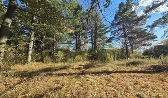 14503 Erway Trak Rd, Albion, NY 14411