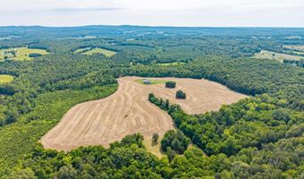 1370 Moonlight Rd, Appomattox, VA 24522