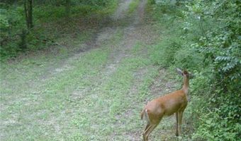 8172 E Ash Rd, Bloomfield, IN 47424