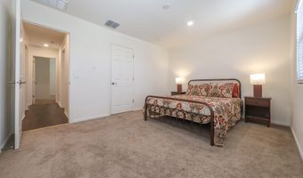937 W Calle Tronco Seco, Sahuarita, AZ 85629