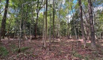 PINEPITCH Road, Harrington, DE 19952
