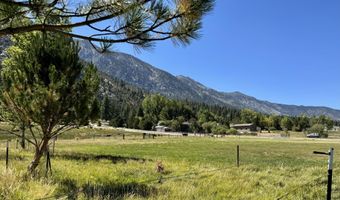 565 Jackson Ranch Rd, Gardnerville, NV 89460