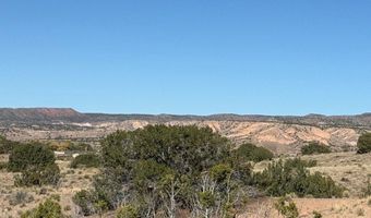 DUANE Street, Abiquiu, NM 87510